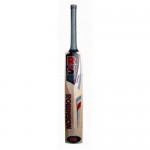 RS Robinson Recorder Kashmir Willow Cricket Bat (SH)